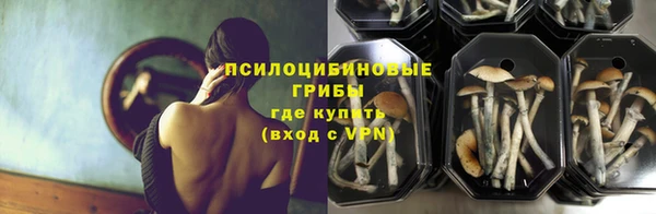 mdpv Армянск